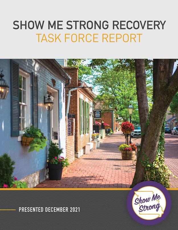 SMSR Task Force Report Cover
